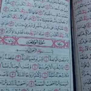 Alstroemeria Azallea profile icon