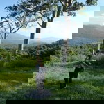 Jaru Miniza profile icon