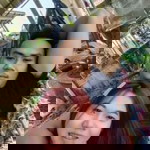 ริสา มาริสา profile icon