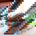 Yang Zuo profile icon