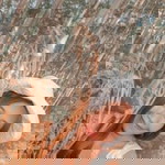 SmileSmile Nicor Acayayan Nequia profile icon