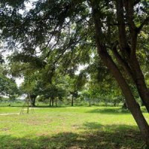 Boom Chotipiwat profile icon