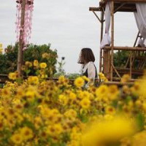 Pun Pun profile icon