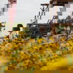 Pun Pun profile icon