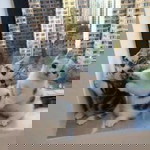 Anong Chnuanram profile icon