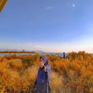 Vina Aulia profile icon