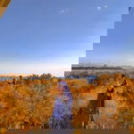 Vina Aulia profile icon