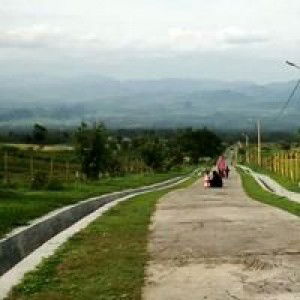 Novi Tarigan profile icon