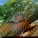 Elet Deguzman profile icon