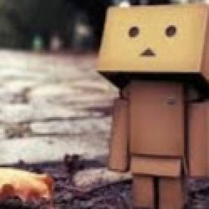 Evi Erika profile icon