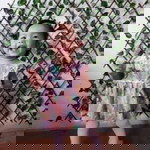 R Nor Syuhada profile icon