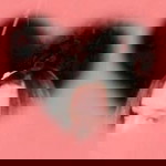 นู๋ แพรว'ฯ profile icon