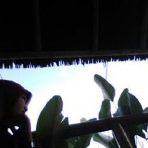 Lidya Irmahani Y. Mtd profile icon