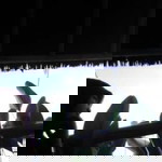 Lidya Irmahani Y. Mtd profile icon