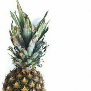 Kiki Ayuni profile icon