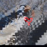 Aum Moment profile icon