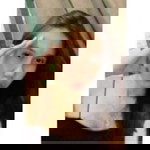 Henzl Zyn Palabrica profile icon