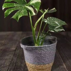 Nabihan Ahnaf profile icon