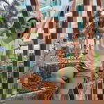 Ae Jitra Talingtantong profile icon