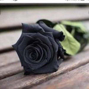 Wawan Prastia profile icon