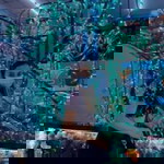 Ghen Vic Sierra Poblete profile icon