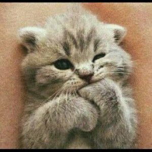 Mawaddatur Rahmah profile icon