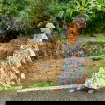 NUR AISHAH profile icon