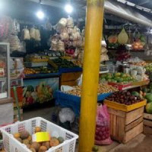 Wahyu Ningsih profile icon