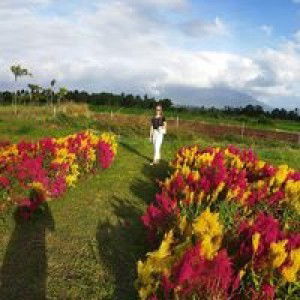 Jeanette Vargas-Latoza profile icon