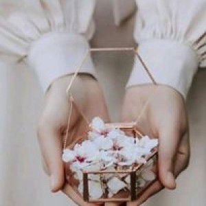 Oktafita profile icon