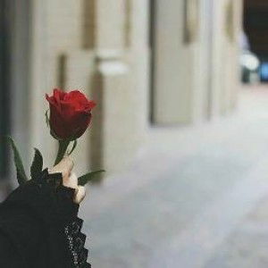 annisa shohibatul farhati profile icon