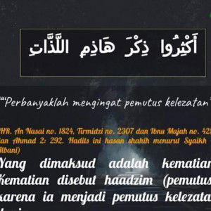 Quran EDU profile icon