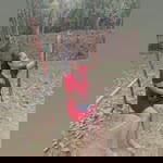 อนงค์พร หนูสวน profile icon