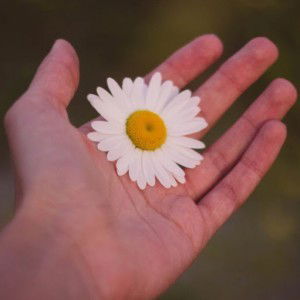 Safwanah Adam profile icon