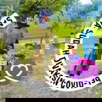 Putri Boloho II profile icon