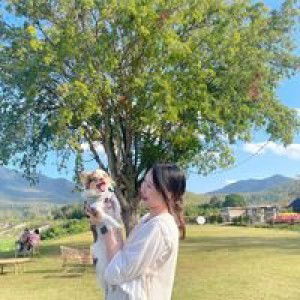 ploywadee profile icon