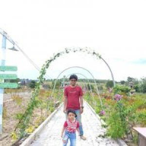 Michelia Alba profile icon