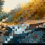 dini afriani profile icon