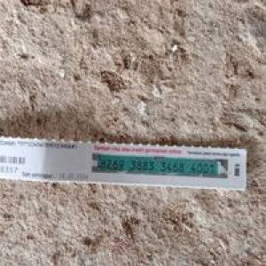 Siti Nurainie profile icon