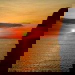 Septaria Deni Alfarisi profile icon