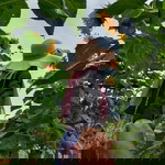 CIK_ SUNFLOWER profile icon