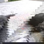 Bet Makes profile icon