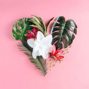 seri wahyuni profile icon