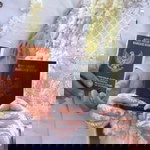 FaNny Silvia profile icon