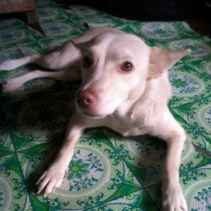 Izzy D. profile icon