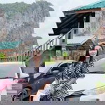 ชมพู่ มะเหมี่ยว profile icon