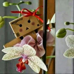 yunie fietrieana (piet) profile icon