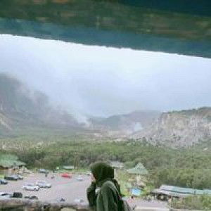 Hani Handayani profile icon