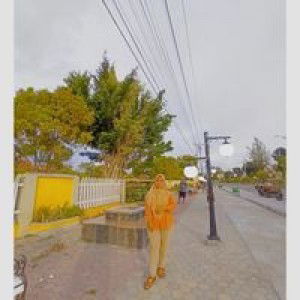 Dian Dian Singkil profile icon