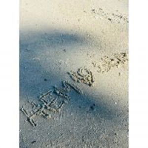 Natchuta Damduangrom profile icon